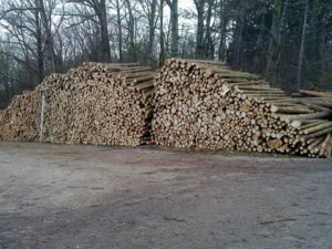 Lstnatá tvrdá směs  200 cm+ (prm l)